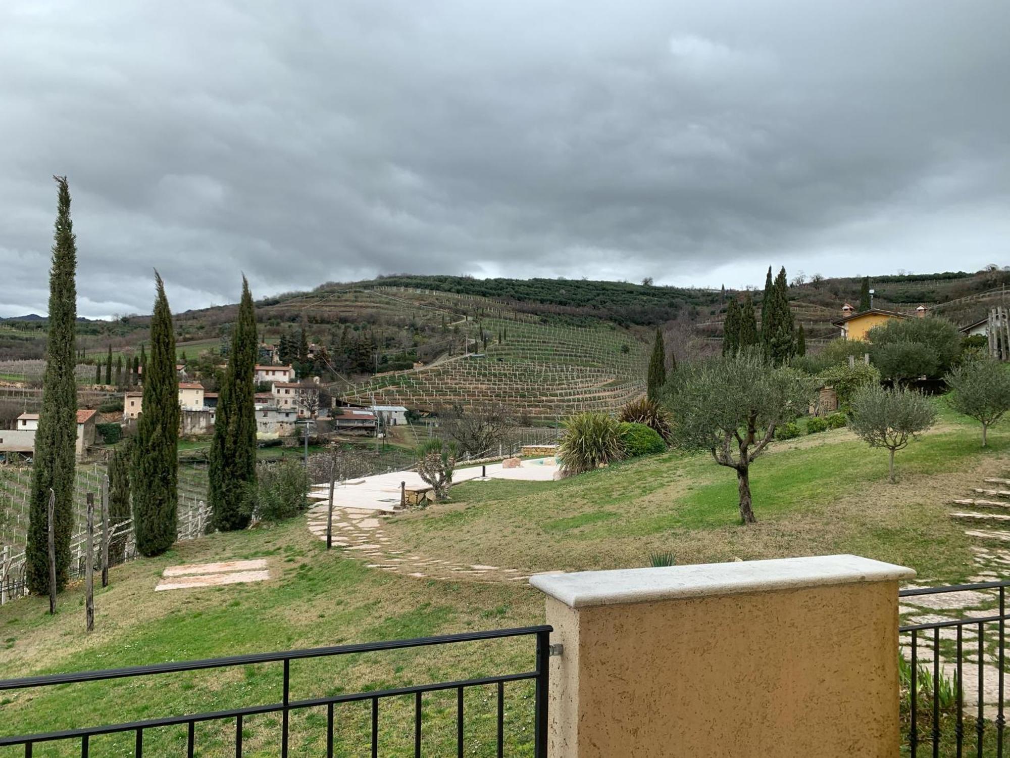 Agriturismo Tamellini ソアーヴェ エクステリア 写真